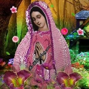 Meet your Posher, Rossy